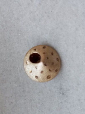 Pendant for necklace