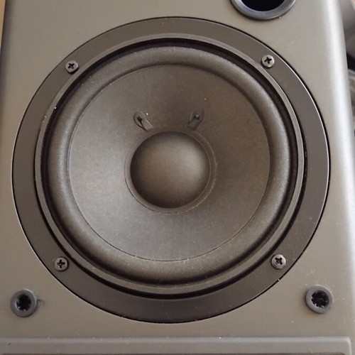 RCA 900MHz wireless speaker
