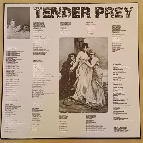 Nick Cave & The Bad Seeds Tender Prey vinyl like new, rock