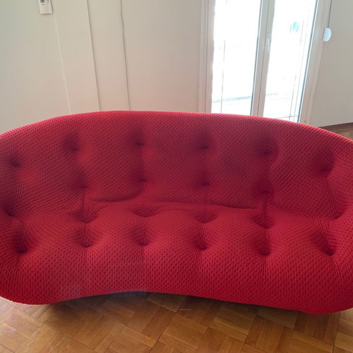 Ligne Roset Ploum Sofa high back used, modern three-seater from USA