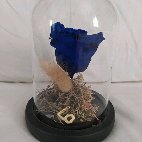 Natural rose used in glass dome