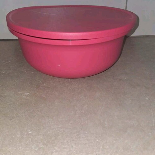 Tupperware Aloha container 2L new