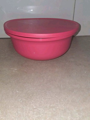 Tupperware Aloha container 2L new