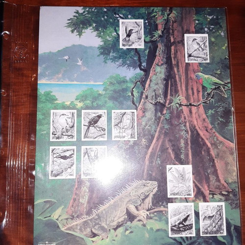 Philatelic card Dominica rain forest new with unmounted stamps
