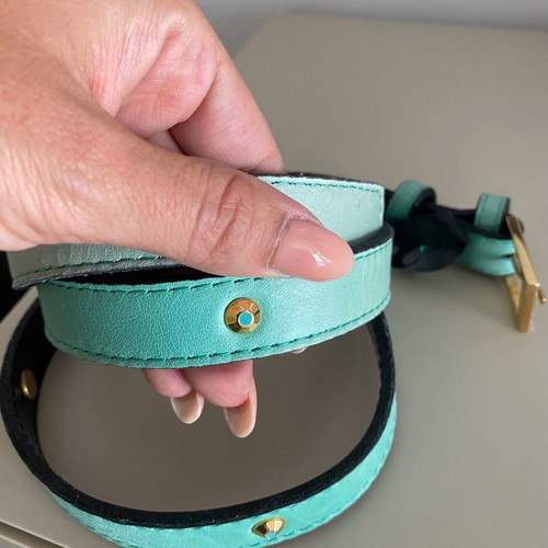Gizia belt new in mint color
