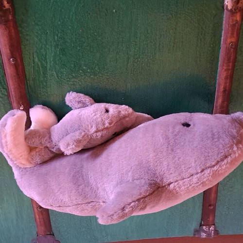 Stuffed dolphin used in good condition