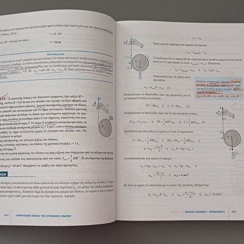 Savvalas Physics Book for Grade 12 High School Like New