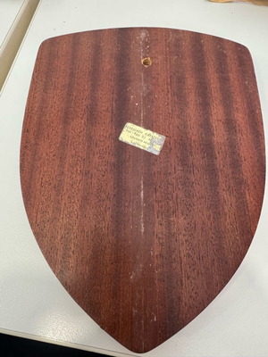 Dmy wall shield used without plaque