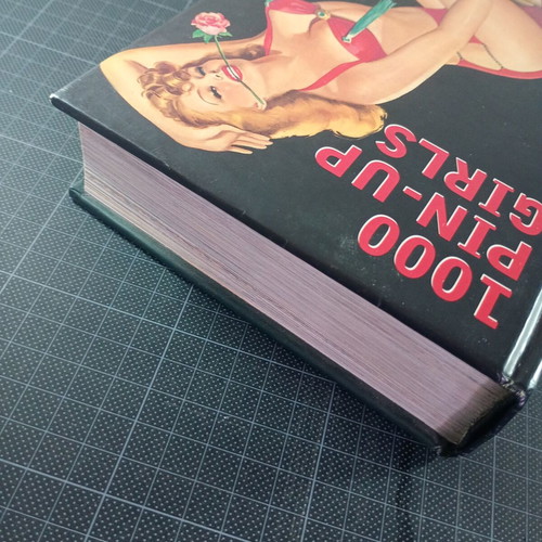 1000 Pin-Up Girls Taschen art book used