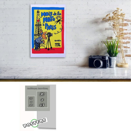 Mois de la PHOTO a PARIS Retro Poster new