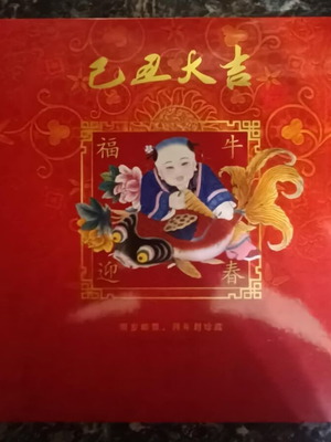 CHINA NATIONAL PHILATELIC CORPORATION - ΠΡΩΤΟΧΡΟΝΙΑ 2009