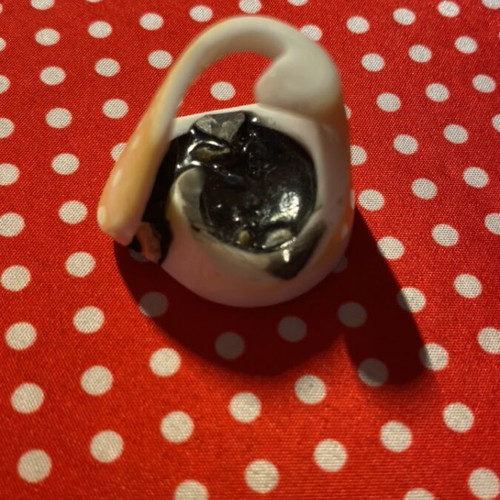 Ring made from shell