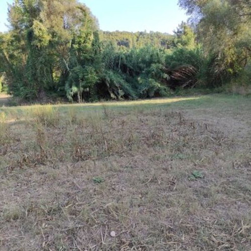 Plot of land 20 stremmata in Arcadia, Tropaia Livadaki area