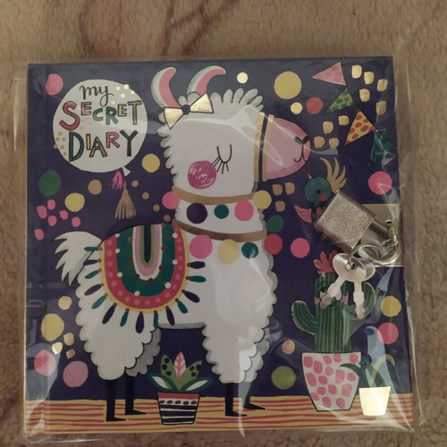 Secret Diary by Rachel Ellen new with colorful pages and lock