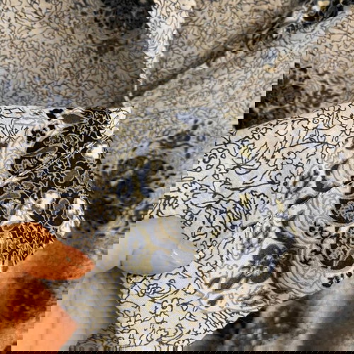 H&M Women's Floral Cotton Shirt like new, white and blue XL