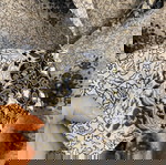 H&M Women's Floral Cotton Shirt like new, white and blue XL