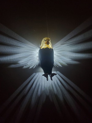 3D Printed LED Decorative Wall Light Eagle Design new