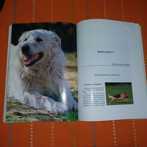 Book about dogs like new, 1996 edition