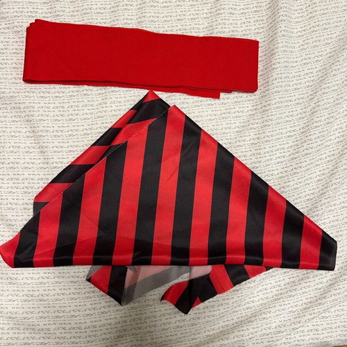 Pirate costume like new