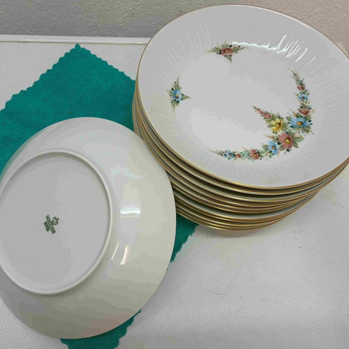 Vintage Scherzer Bavaria Porcelain Dinner Set 65 Pieces like new