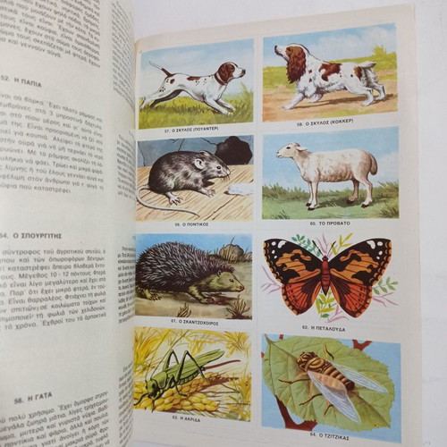 Books used rare magazines notebooks albums stickers for 3rd grade