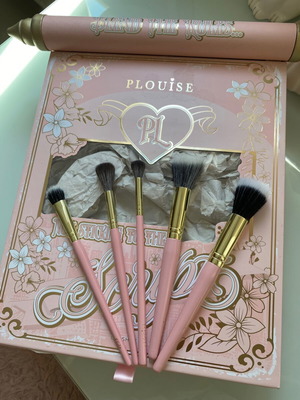 PLouise makeup brush set with decorative box, 5 pieces