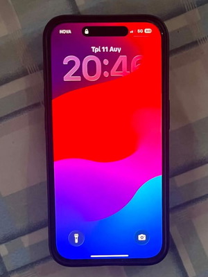 Apple iPhone 15 Pro 256GB black with case
