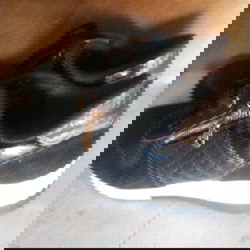 Αθλητικά μαύρα 39-40 sneakers με λαστιχένια σόλα