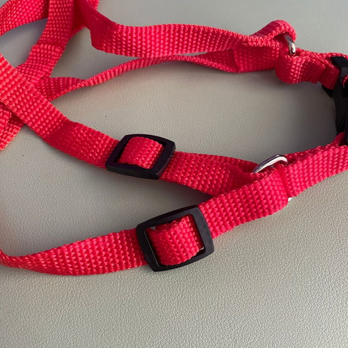 Simple red dog harness new, adjustable 1.5 cm width