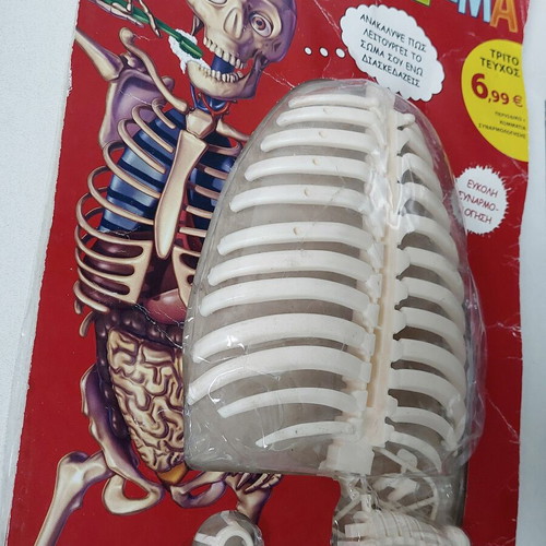 Discover the Human Body Magazine Issue 3 sealed