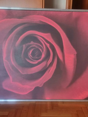 Painting Red Rose like new with silver frame from IKEA