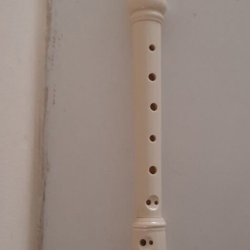 Flute like new, unused
