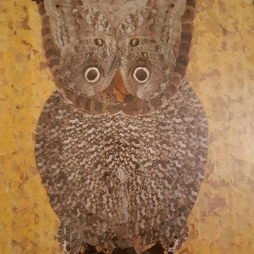 Collage painting used with owl made of butterfly wings 43x33cm