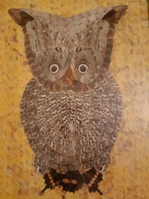 Collage painting used with owl made of butterfly wings 43x33cm