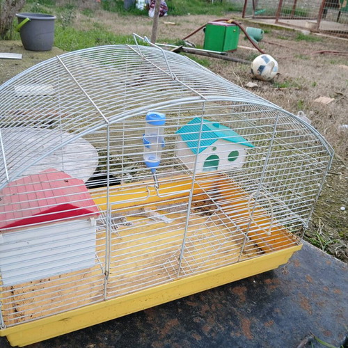 Hamster cage used with houses, water bottle and ladder