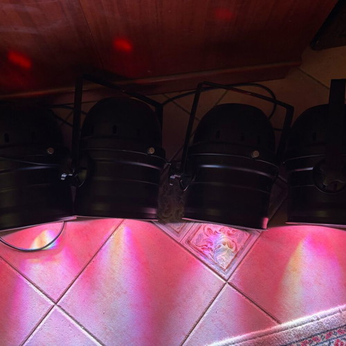 LED Par 64 lights like new, set of 2