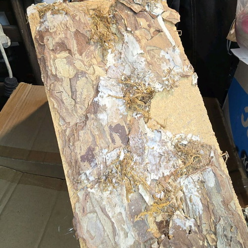 Large nativity scene used, good condition