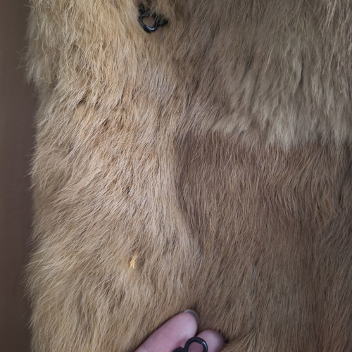 BSB Collection camel color rabbit fur coat, size 40