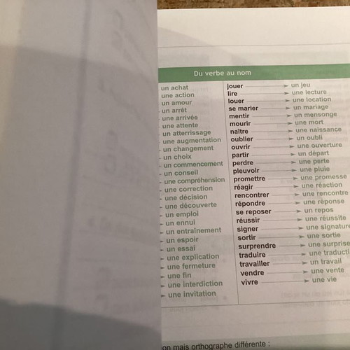 Ludo et Nefeli Grammaire Communicative du francais teacher's book like new