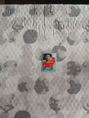 FIFA World Cup 2026 Belgium sticker