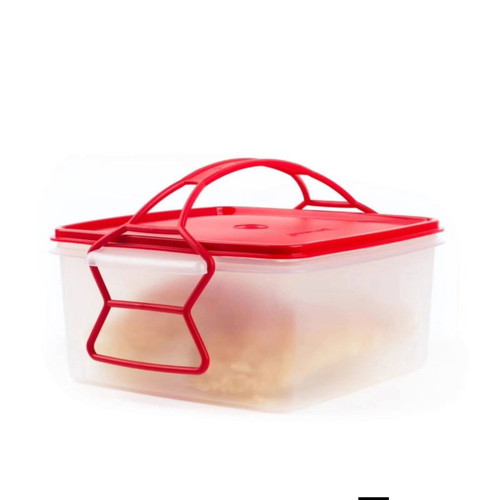 Tupperware square picnic container 4L new