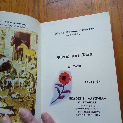 Book Plants and Animals Fourth Grade Elementary Excellent Condition