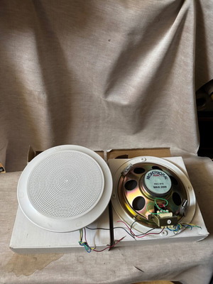 Professional Audio PAC-810 Ceiling Speakers new, pair