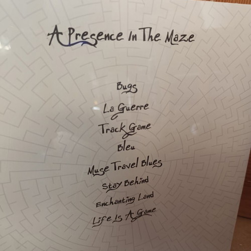The Smoking Hiccup Machine A Presence In The Maze LP 180g new limited edition