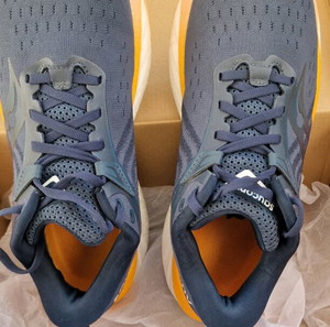Saucony Triumph 22, size 40.5