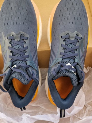 Saucony Triumph 22, size 40.5