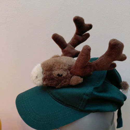 Christmas hat with reindeer