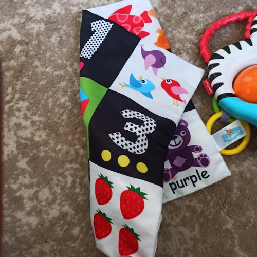 Zebra Fisher Price like new with bonus baby activity surface