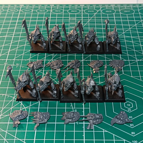 Seraphon Lizardmen Army like new with huge bits box for Warhammer