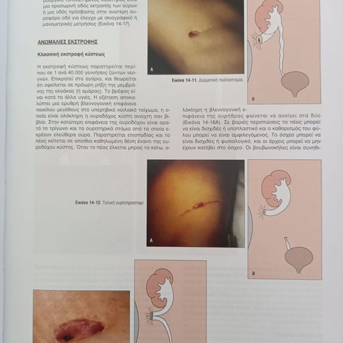 Pediatric Physical Examination and Diagnosis Volume 2 new book